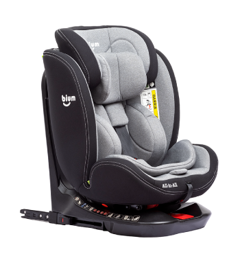 Silla de Carro All in All